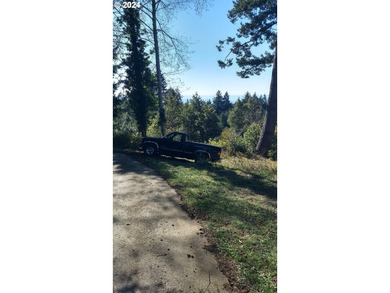 Gorgeous lot in the serene Carpenterville hills, build ready - photo 8