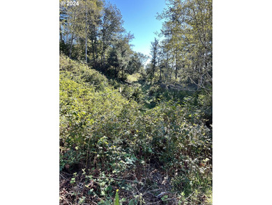 Gorgeous lot in the serene Carpenterville hills, build ready - photo 9