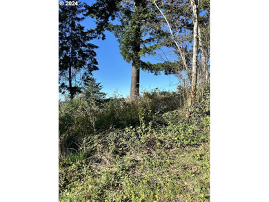 Gorgeous lot in the serene Carpenterville hills, build ready - photo 10