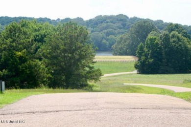 (private lake, pond, creek) Acreage For Sale in Flora Mississippi