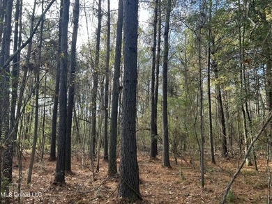 Discover 39.7+- surveyed acres in Brookhaven, Mississippi - photo 11