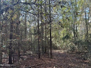 Discover 39.7+- surveyed acres in Brookhaven, Mississippi - photo 12