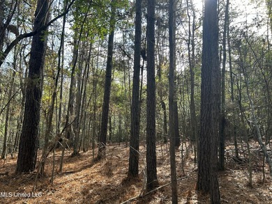 Discover 39.7+- surveyed acres in Brookhaven, Mississippi - photo 13