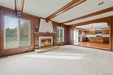 Welcome to 38219 Santa Anna Street in Clinton Township! This - photo 14