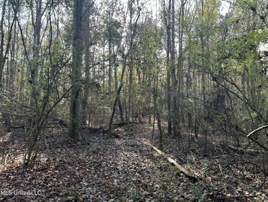 Discover 39.7+- surveyed acres in Brookhaven, Mississippi - photo 15