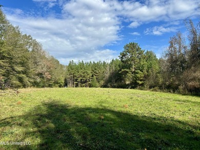 Discover 39.7+- surveyed acres in Brookhaven, Mississippi - photo 17