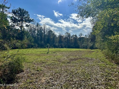 Discover 39.7+- surveyed acres in Brookhaven, Mississippi - photo 18