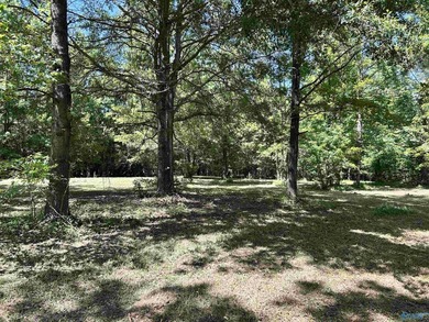 Discover the perfect spot to build your dream home with these - photo 19