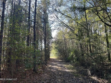 Discover 39.7+- surveyed acres in Brookhaven, Mississippi - photo 20