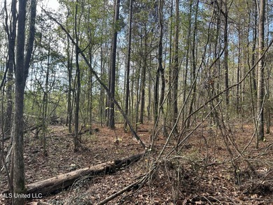 Discover 39.7+- surveyed acres in Brookhaven, Mississippi - photo 21