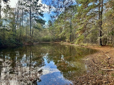 Discover 39.7+- surveyed acres in Brookhaven, Mississippi - photo 23