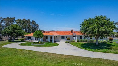 26465 Douglas Ave - photo 23