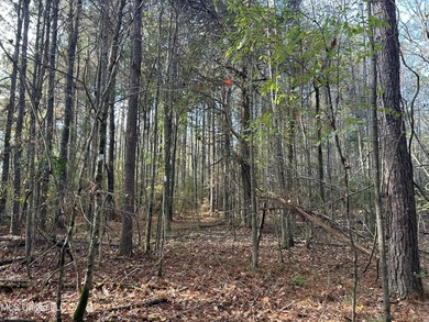 Discover 39.7+- surveyed acres in Brookhaven, Mississippi - photo 24
