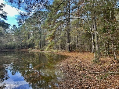 Discover 39.7+- surveyed acres in Brookhaven, Mississippi - photo 25