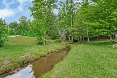 Green acres and opportunity await on Doc Loy Road. This property - photo 30