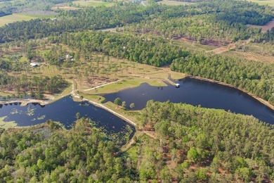 (private lake, pond, creek) Home Sale Pending in Thomasville Georgia