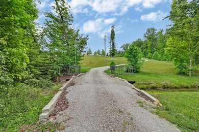 Green acres and opportunity await on Doc Loy Road. This property - photo 35