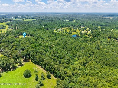 On nearly 20 acres, this beautifully remodeled 3 bed 3 bath home - photo 36