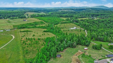 Green acres and opportunity await on Doc Loy Road. This property - photo 36