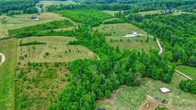 Green acres and opportunity await on Doc Loy Road. This property - photo 37