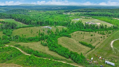 Green acres and opportunity await on Doc Loy Road. This property - photo 38