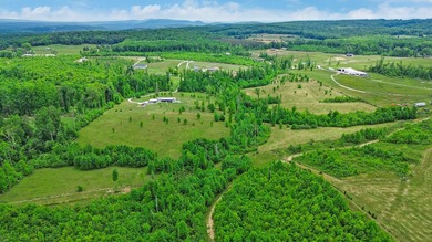 Green acres and opportunity await on Doc Loy Road. This property - photo 39