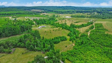Green acres and opportunity await on Doc Loy Road. This property - photo 40