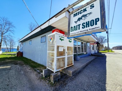 Lake Commercial For Sale in Curtis, Michigan