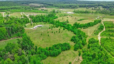 Green acres and opportunity await on Doc Loy Road. This property - photo 41