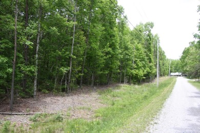 Lake Lot For Sale in Jamestown, Tennessee