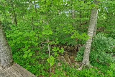 Green acres and opportunity await on Doc Loy Road. This property - photo 43