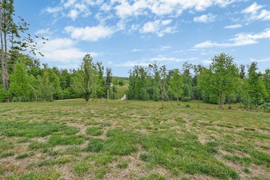 Green acres and opportunity await on Doc Loy Road. This property - photo 45