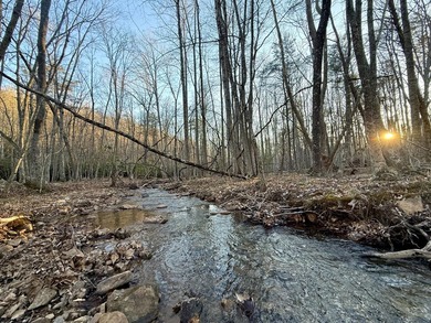 (private lake, pond, coastal) Acreage Sale Pending in New Castle Virginia