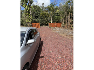 CABIN IN THE NATIVE HAWAIIAN RAIN FOREST WITH WELL-BUILT - photo 6