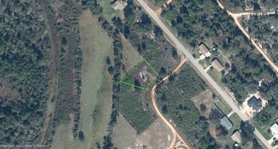 Build your future in growing Avon Park! This natural vacant lot - photo 1