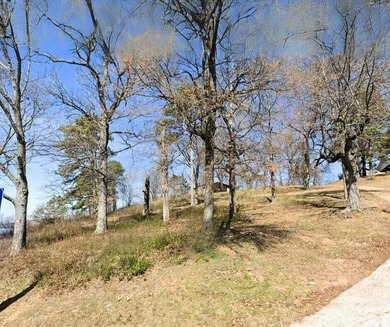 1.57ac commercial lot with I-40 & Hwy 7 visibility! Prime - photo 2