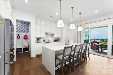 Welcome to 233 Lanyard Lane in the highly desirable McLean South - photo 15