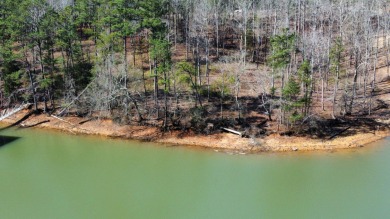 Lake Lot For Sale in Double Springs, Alabama