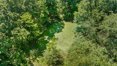 20 ac mol with no value mobile and old house - SELLER WILL - photo 3