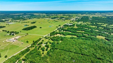 20 ac mol with no value mobile and old house - SELLER WILL - photo 9