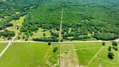 20 ac mol with no value mobile and old house - SELLER WILL - photo 10