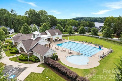 Welcome to 233 Lanyard Lane in the highly desirable McLean South - photo 44