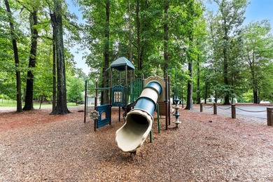 Welcome to 233 Lanyard Lane in the highly desirable McLean South - photo 46