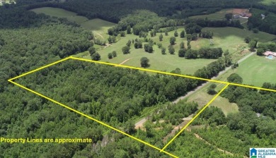 Lake Acreage For Sale in Wedowee, Alabama