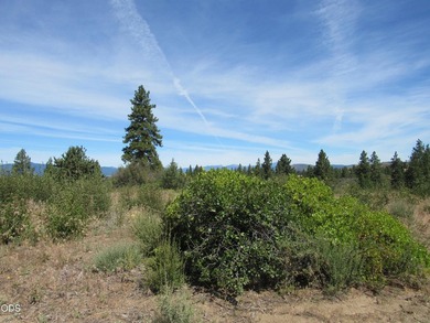 Great one acre parcel of land to build an upscale home. Very - photo 1