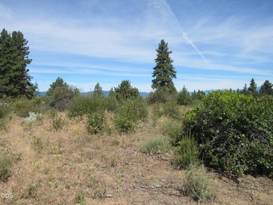 Great one acre parcel of land to build an upscale home. Very - photo 2