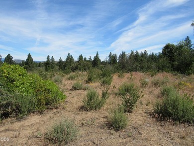Great one acre parcel of land to build an upscale home. Very - photo 3
