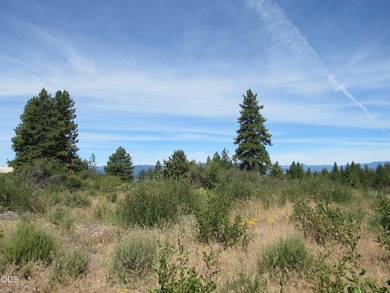 Great one acre parcel of land to build an upscale home. Very - photo 4