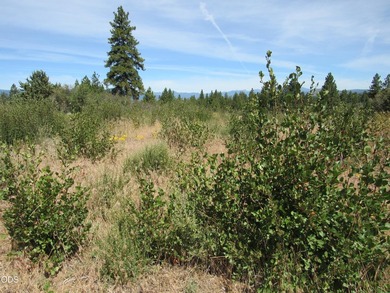 Great one acre parcel of land to build an upscale home. Very - photo 5