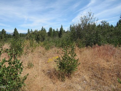 Great one acre parcel of land to build an upscale home. Very - photo 6